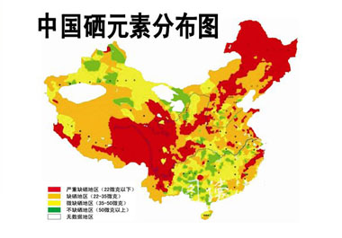 專家指出：補硒應選擇有機硒