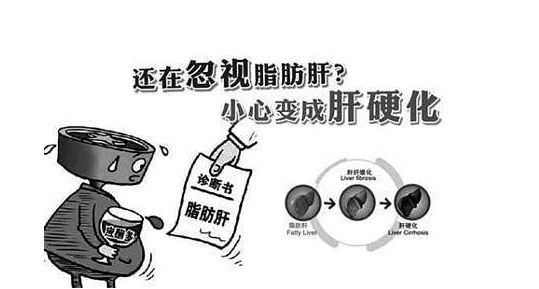 脂肪肝被稱為“隱蔽性肝硬化”,適當補硒可降低危害性
