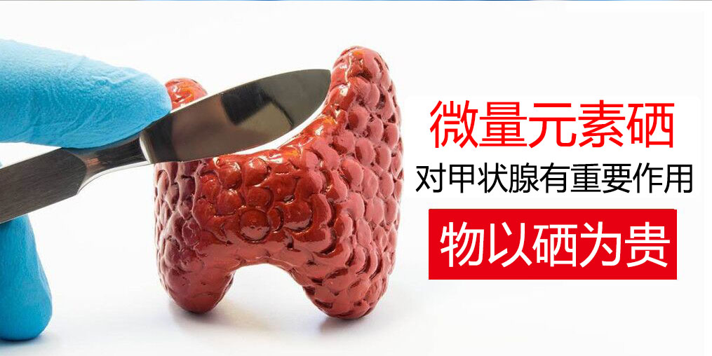 物以“硒”為貴，甲狀腺疾病能適當(dāng)補(bǔ)硒嗎？