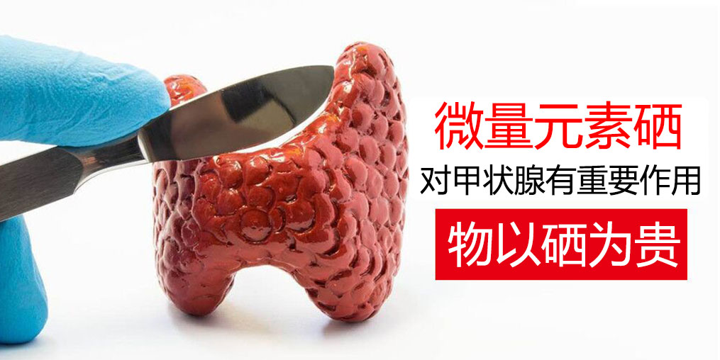 物以“硒”為貴,甲狀腺疾病能適當補硒嗎?