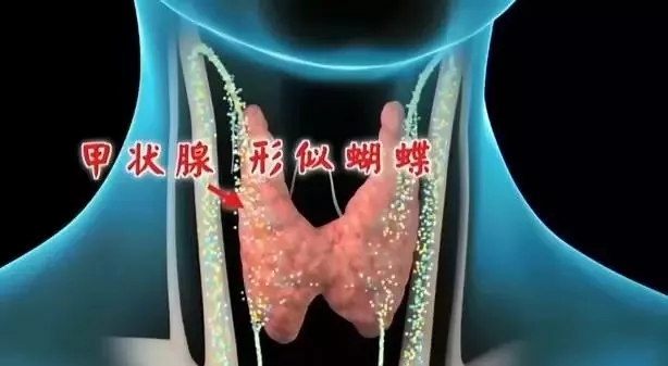 補硒科普：硒與甲狀腺疾病之間的關系