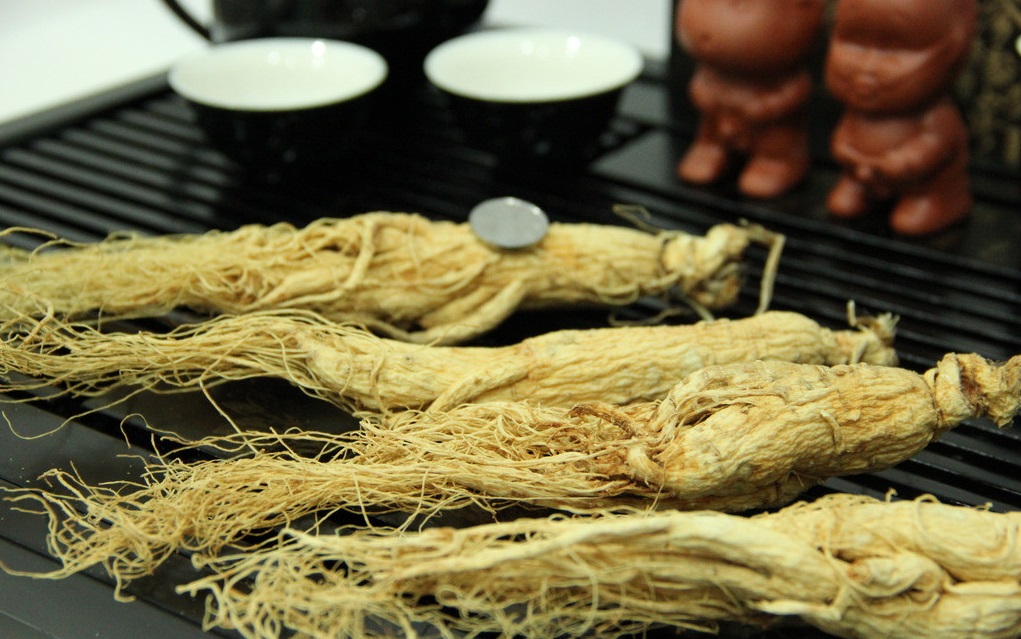 什么是人參皂苷？它對人體的健康有哪些功效？