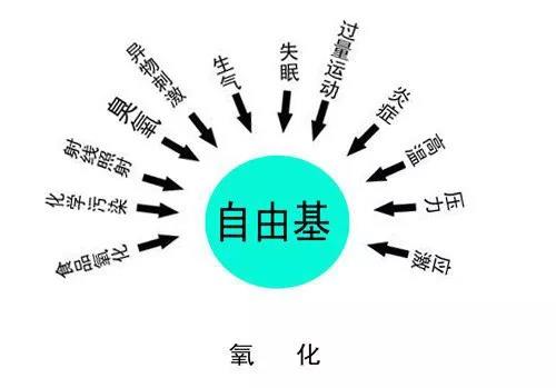 自由基是萬病之源，補硒可以有效清除自由基