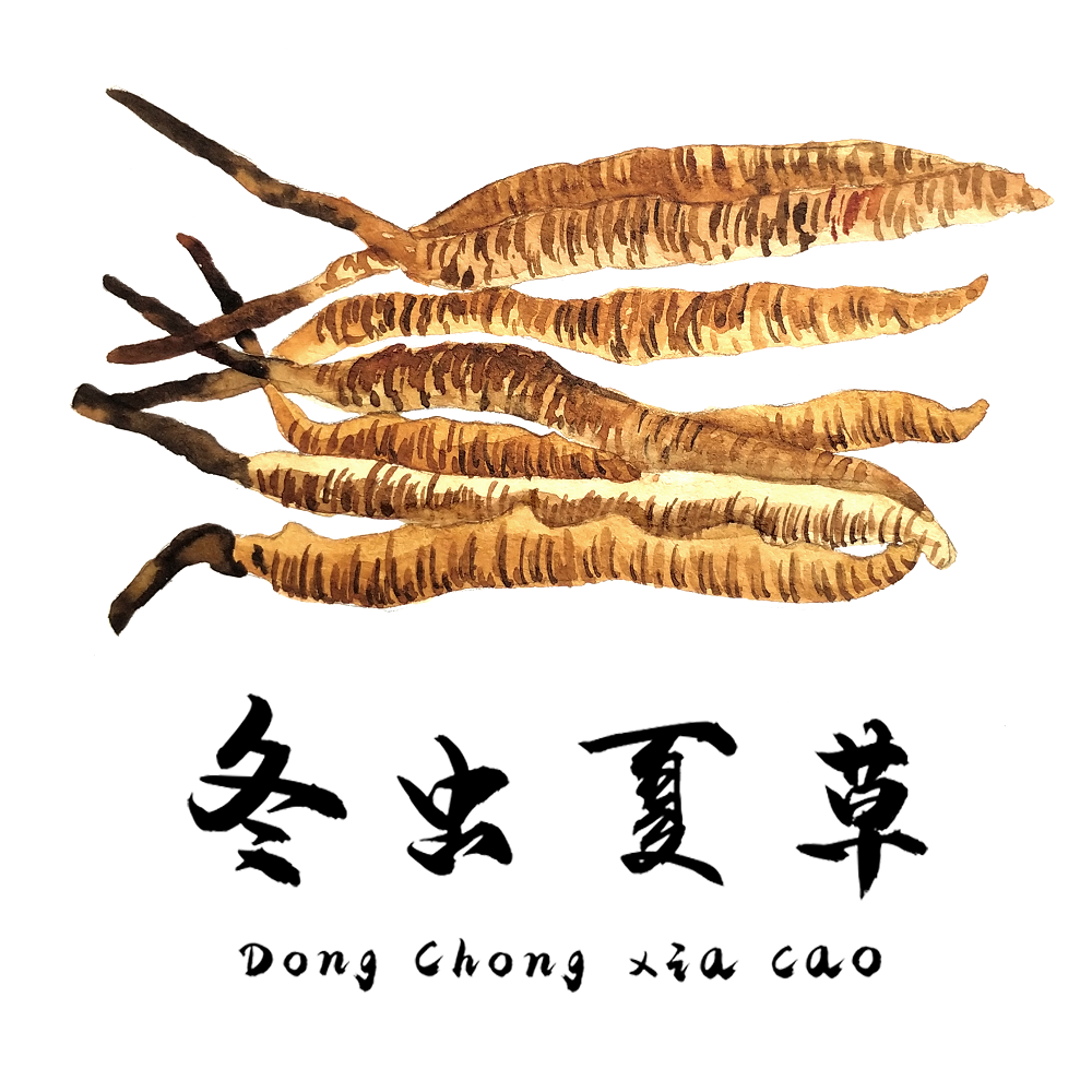 對于食道癌，冬蟲夏草有一定的改善作用