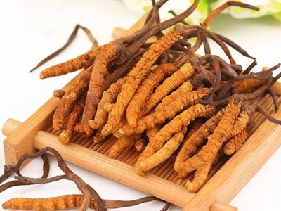 蟲(chóng)草素？冬蟲(chóng)夏草里的蟲(chóng)草素是什么？