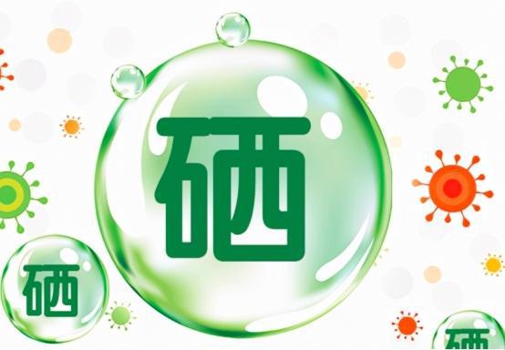 硒與人體免疫力系統