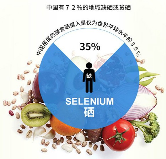  為什么大多數人的體內缺硒？