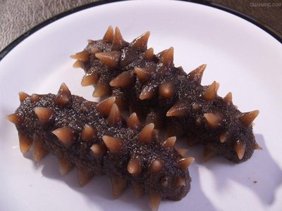 冬季滋補養生，多吃海參會上火嗎？