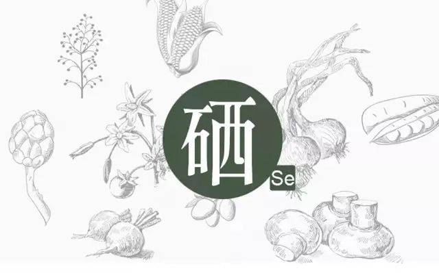 硒的幾種分類，你補對了嗎？