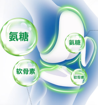 骨關節養護“潛力股”，氨糖的作用有什么？