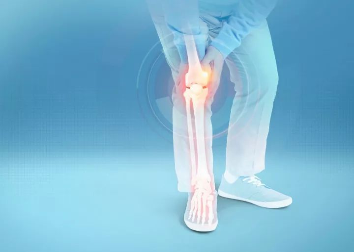 守護膝關節健康：認識膝關節